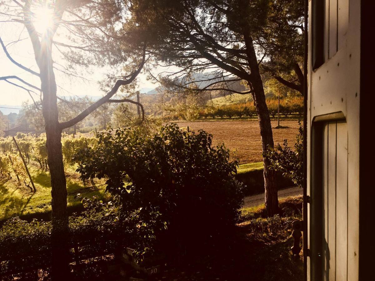 Il Cardello Locanda Casola Valsenio Dış mekan fotoğraf