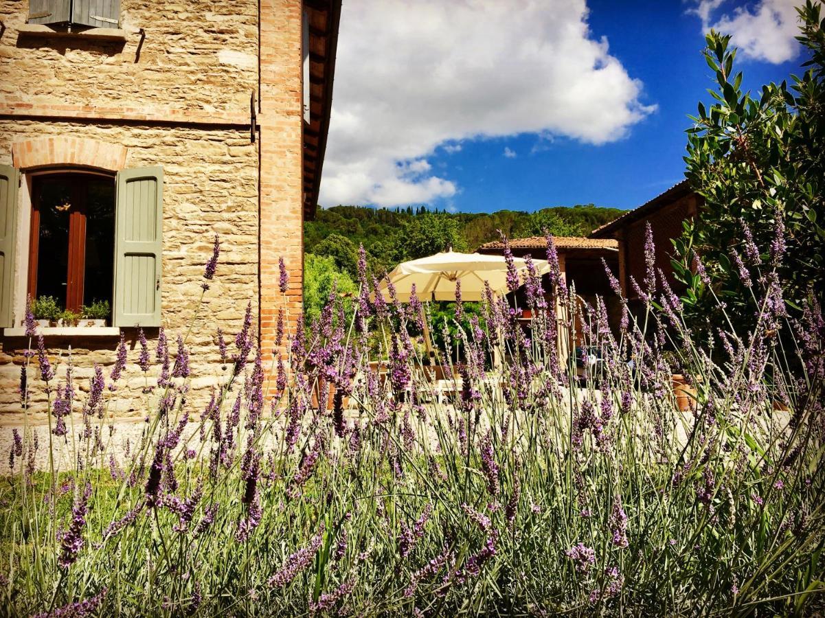 Il Cardello Locanda Casola Valsenio Dış mekan fotoğraf