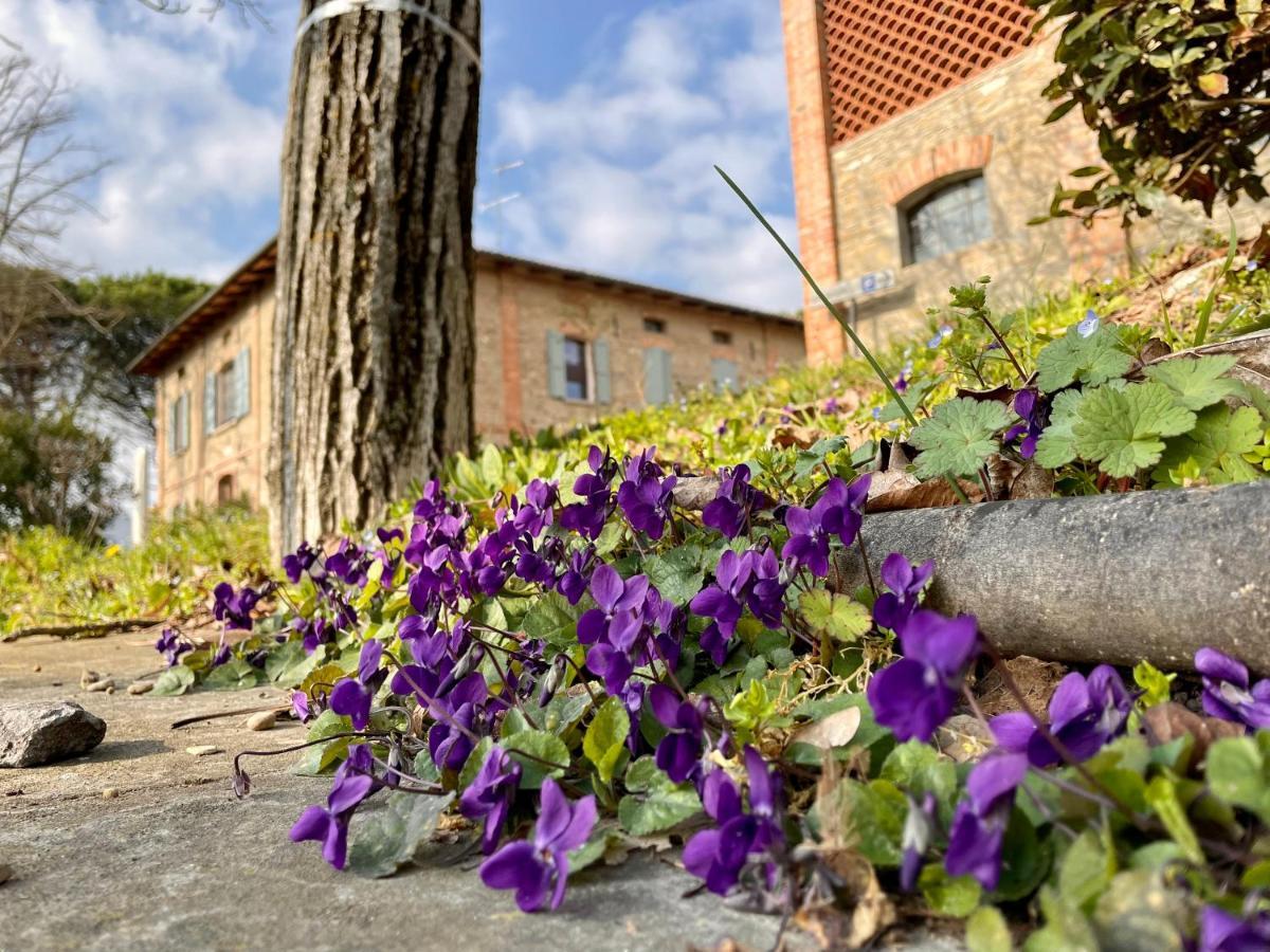 Il Cardello Locanda Casola Valsenio Dış mekan fotoğraf